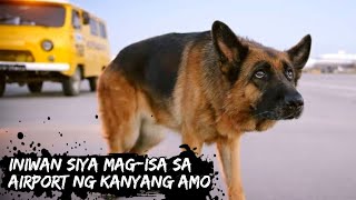 Ang ASO na INIWAN Magisa sa AIRPORT ng kanyang AMO  A Dog Named Palma 2021  Tagalog Movie Recap [upl. by Aisnetroh]