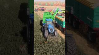 FS22 Unloading grain into a trailer Newholland t8435 clondike fs22 farmingsimulator22 mods [upl. by Darya242]