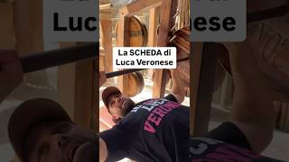 😳La SCHEDA di LUCA VERONESE 🦾 [upl. by Robma608]