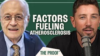 How Endothelial Dysfunction Causes Atherosclerosis  Dr Thomas Dayspring  The Proof Ep 251 [upl. by Yenahpets785]