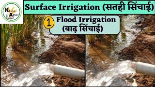 Surface Irrigationसतही सिंचाईFlood Irrigation बाढ़ सिंचाई agriculture agronomy [upl. by Ahsiened]