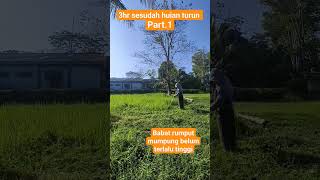 3hr biz hujan babatrumput kebun mesinrumput asmrvideos asmr diy pov permakultur musimhujan [upl. by Marti431]