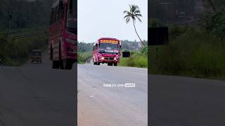 Mass Entry🔥 SAGARA🔥 Kannur Kozhikode Mass Private Bus shortvideo shorts viralvideo trending [upl. by Nahaj]