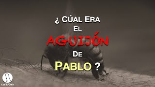 ¿Cuál Era El Aguijón De Pablo En La Carne  Preguntas Bíblicas  PampR [upl. by Profant]