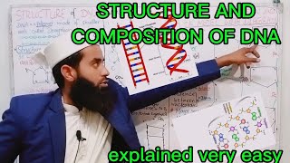 structure of dna 2nd Year biology in Urdu Hindi Watson and Crick model class 12 by hadi biology 24 [upl. by Anoniw]