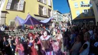 Le Puy  le Roi de loiseau 2013 en images [upl. by Neelhsa771]