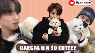 The cuteness of a dog named DAEGAL  Chenle or Daegal [upl. by Territus]