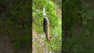 fishing twin lakes Washington State [upl. by Henleigh61]