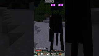 Fight minecraft minecraftshorts minecraftpe fighting [upl. by Roede636]