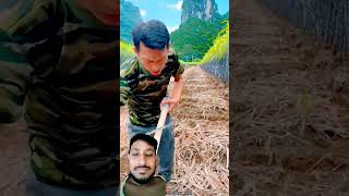 Beautiful Landscape of Sugarcane Farm with Rural Farmer shorts​ satisfying​​ farming​ sugarcane​ [upl. by Best]