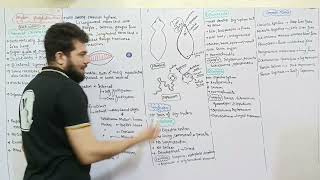 phylum platyhelminthes  General Characteristics  Join MR Academy [upl. by Aloibaf]