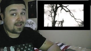 DIR EN GREY  VINUSHKA Official Video REACTION [upl. by Rammus]