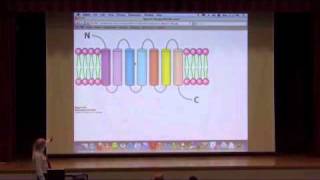 Cellular Signaling II [upl. by Ragen645]