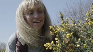 Pollinator Picnic with Michaela Strachan  Florette x Naturehood [upl. by Airbas]