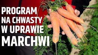 Sprawdzony program na chwasty w uprawie marchwi [upl. by Ylellan]