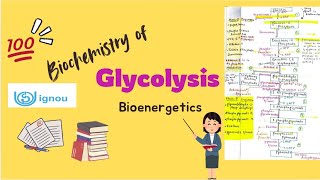 Glycolysis  Biochemistry  BSCG  BCHET  BZYCT  IGNOU ignouexams glycolysis biochemistry bsc [upl. by Garrot]