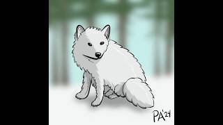 The Illusive Arctic Fox in his Natural Habitat Timelapse art drawing procreate [upl. by Ymirej479]