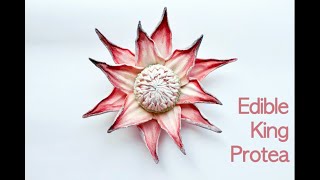 Protea Flower Cake Topper Tutorial [upl. by Caton]