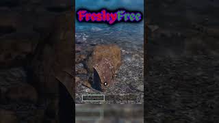 Why you DONT mess around with birds and their friendsshorts gamingwithfriends danger ark [upl. by Leoline]