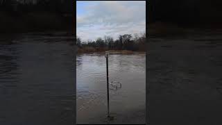 Hochwasser an der Leine in Neustadt am Rübenberge [upl. by Berne677]