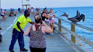 Kure Beach Pier Evening Tour  Kure Beach NC [upl. by Akirderf580]