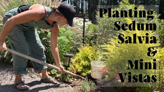 Planting Garden Staples Salvia Sedum and Supertunia MiniVista White [upl. by Segroeg]