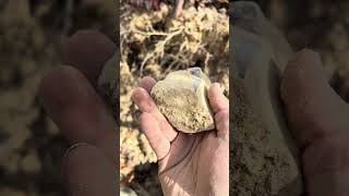 Beautiful iron stained crystal side crystals gems quartz rockhounding prospecting [upl. by Ellora]