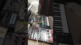 Behringer Grind Bass Monster JD08  SH01A  Roland P6 Sampler Drums synthwave synthpop music [upl. by Rowley812]