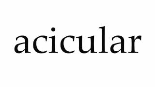 How to Pronounce acicular [upl. by Eelyac674]