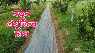 অতিরিক্ত বৃষ্টির হাত থেকে বাঁচতে এইভাবে ফসলের চাষ করুন।। [upl. by Auohc]