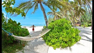 Pongwe  Zanzibar  Overview [upl. by Inalaehak578]