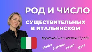 Итальянские Существительные ВСЁ ЧТО НУЖНО ЗНАТЬ НАЧИНАЮЩИМ [upl. by Akli]