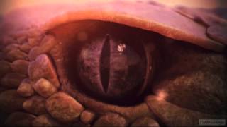 Nat Geo Wild HD Idents 2013  Nordic  Central Europe [upl. by Anahcar]