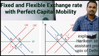 Fixed And Flexible Exchange Rate with perfect capital mobility [upl. by Linskey171]