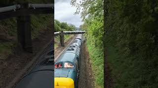 Class 55 Deltic at the Great Central Railway [upl. by Leamse464]