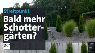 Schottergärten auf dem Vormarsch Gesetzentwurf in der Kritik  Abendschau  BR24 [upl. by Eneluj]