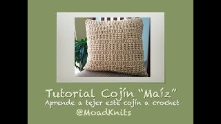 Tutorial Cojín Decorativo Tejido a Crochet [upl. by Haliled993]