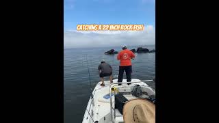 Catching a 22 inch Rock Fish on the Stoney Creek in Maryland [upl. by Assilym661]