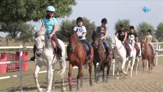 Mojadillas Caballos  Hípica  El Escorial Madrid [upl. by Anawad]