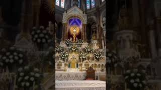 HÓSTIA SANTA NO ALTAR CONSAGRADAshorts catolicosdeverdade missacatolica missa virgenmaria [upl. by Hailahk]