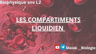 Biophysique L2  Les compartiments liquidiens [upl. by Matt]