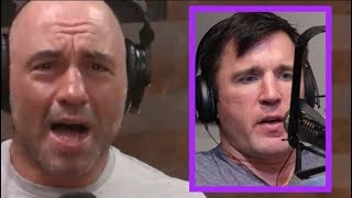 Joe Rogans quotBeefquot With Chael Sonnen [upl. by Nesnaj]