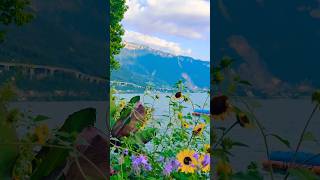 Beautiful Montreux🇨🇭Switzerland shortsfeed travel switzerland lausanne shorts [upl. by Erdnassak]