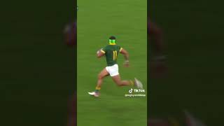 Robbie Wessels  Cheslin Kolbe promo [upl. by Iaoh]