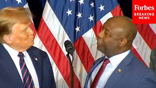 Trump Tells Tim Scott You Must Really Hate Nikki Haley After NH Primary Win—Then Scott Responds [upl. by Prosser745]