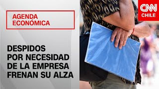 Por primera vez en 2 años Despidos por necesidad de la empresa frenan su alza en marzo [upl. by Dacia507]