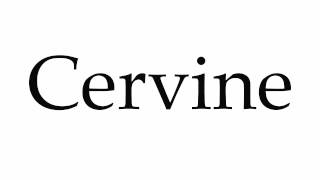 How to Pronounce Cervine [upl. by Hedaza]