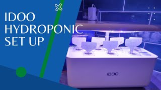 iDoo Hydroponic Full Set Up [upl. by Pogah]