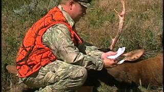 Wyoming Wildlife TV 3Brucellosis [upl. by Sieracki]