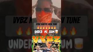 Vybz Kartel shares a preview of NEW tune lyric video 💪🏾💪🏾🔥🔥🔥vybzkartel dancehall reggae [upl. by Mota]